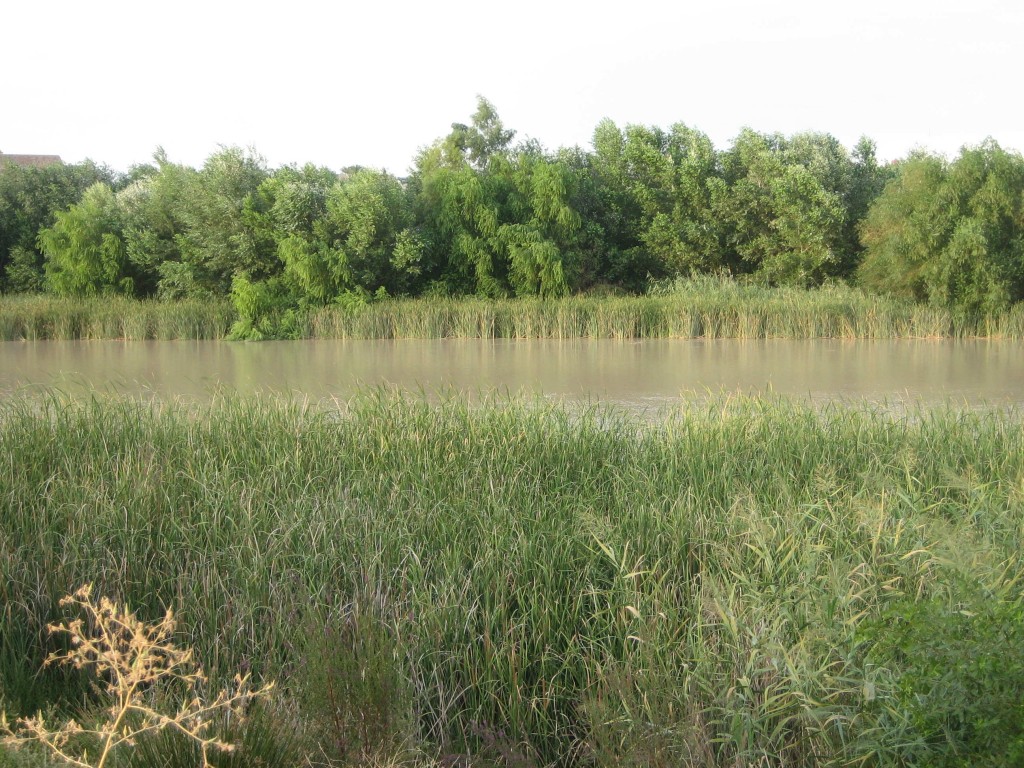guadalquivir_12