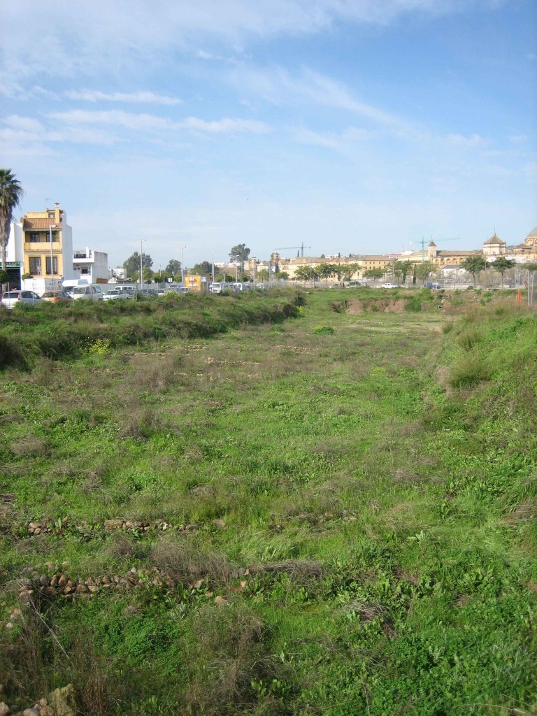 solar_palacio_sur_febrero_2010 solar_palacio_sur_febrero_2010